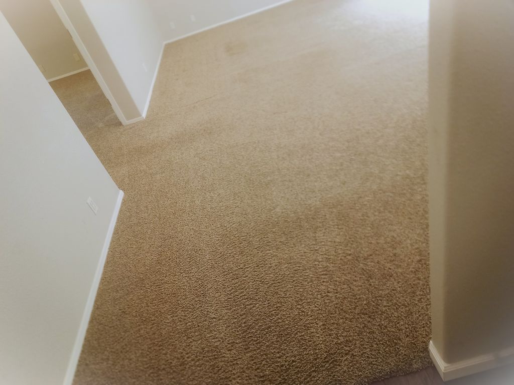 Same hallway / living room after extensive treatme