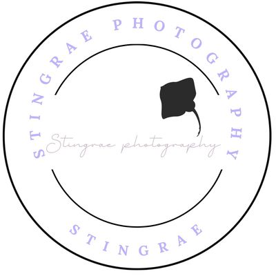 Avatar for Stingrae photography