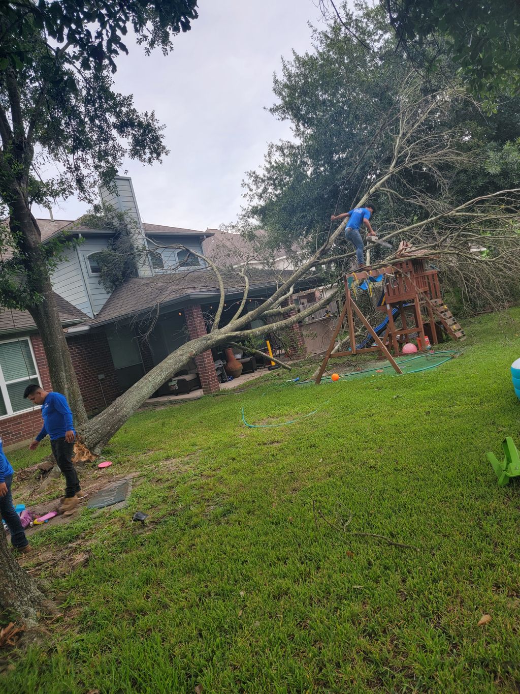 Tree Trimming and Removal