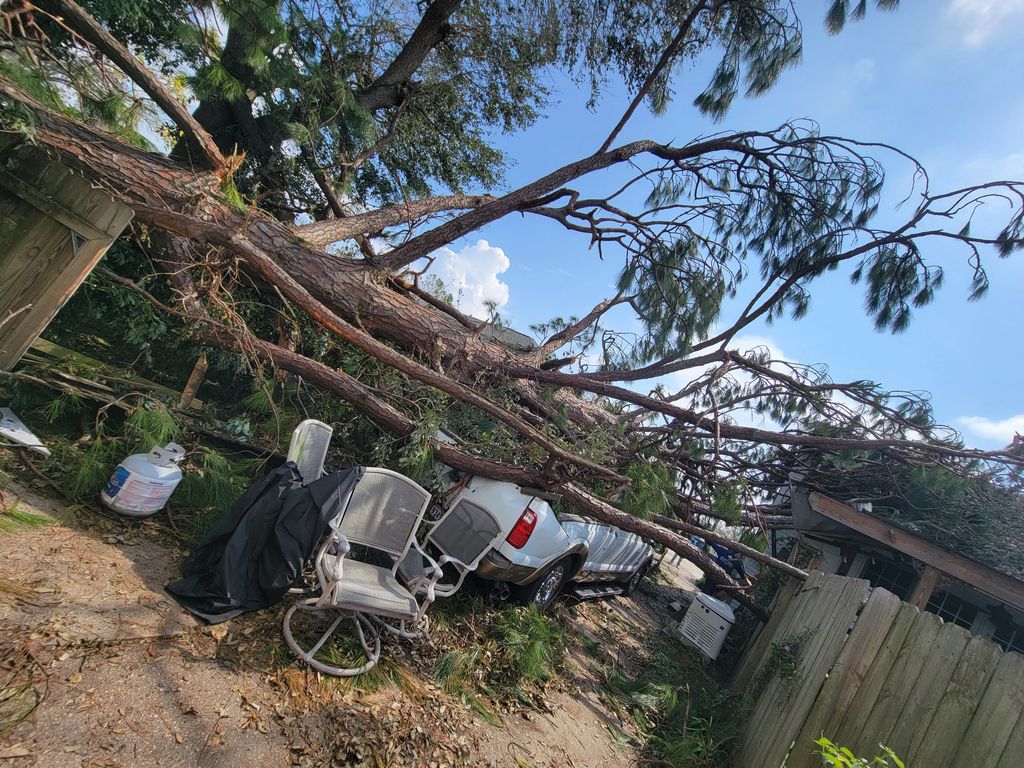 Tree Trimming and Removal