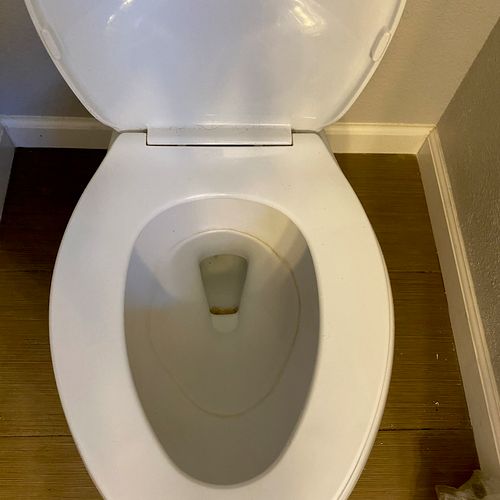 Stain removal in toilet bowl (before)