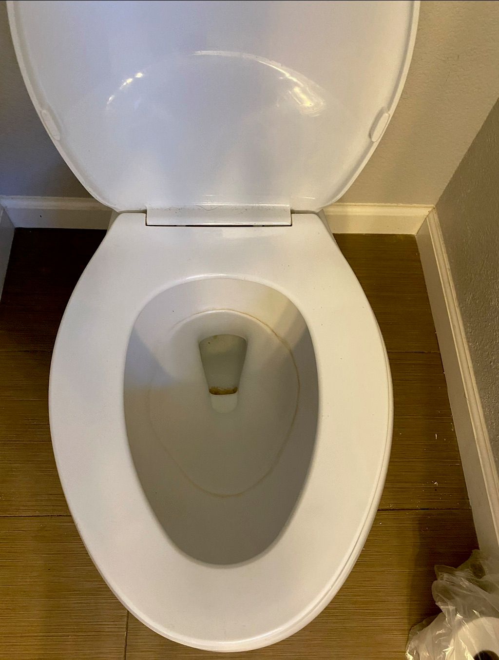 Stain removal in toilet bowl (before)