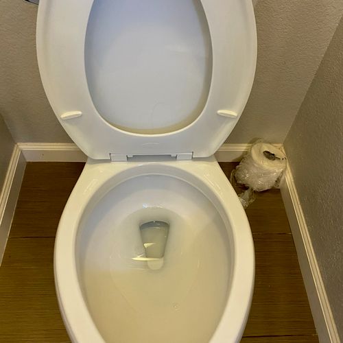 Stain removal in toilet bowl (after)