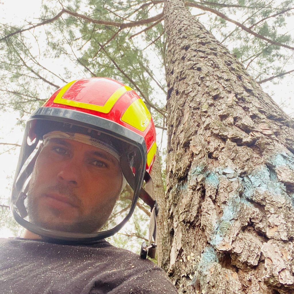 LJ TreeCare LLC/North Carolina Tree Removal