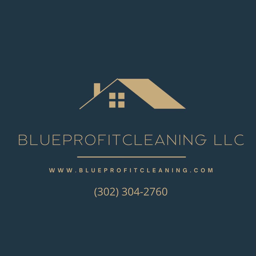 Blue Profit Cleaning LLC Junk Removal & Demolition