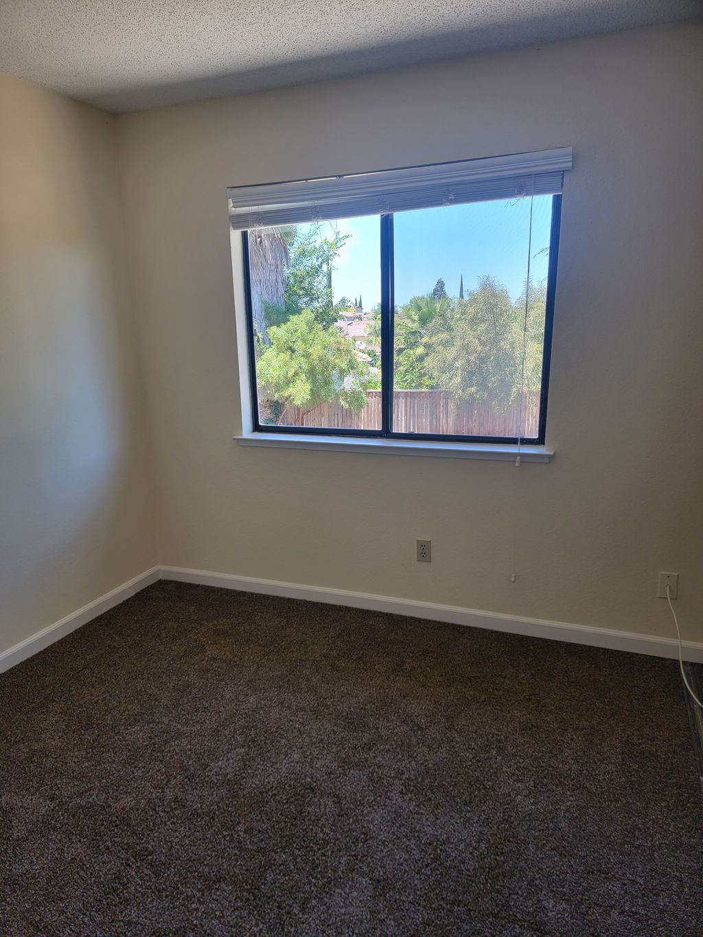 Room cleaned, window cleaning 