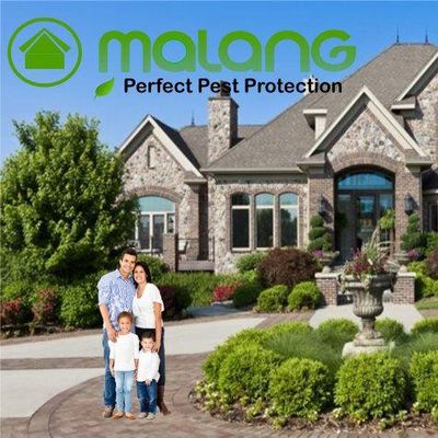 Avatar for Malang Pest Control