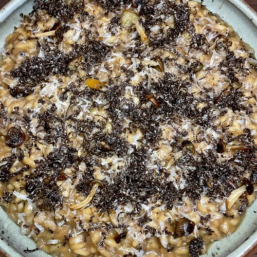 Mushroom risotto. Shaved truffles.