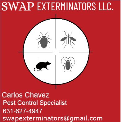 Swap Exterminators