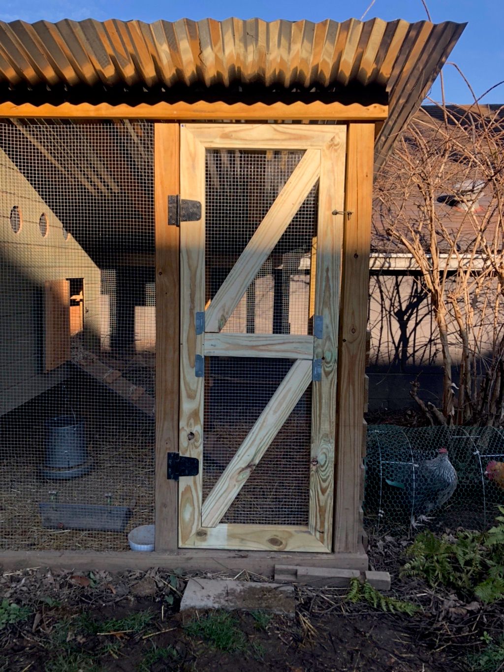 Built chicken coop door