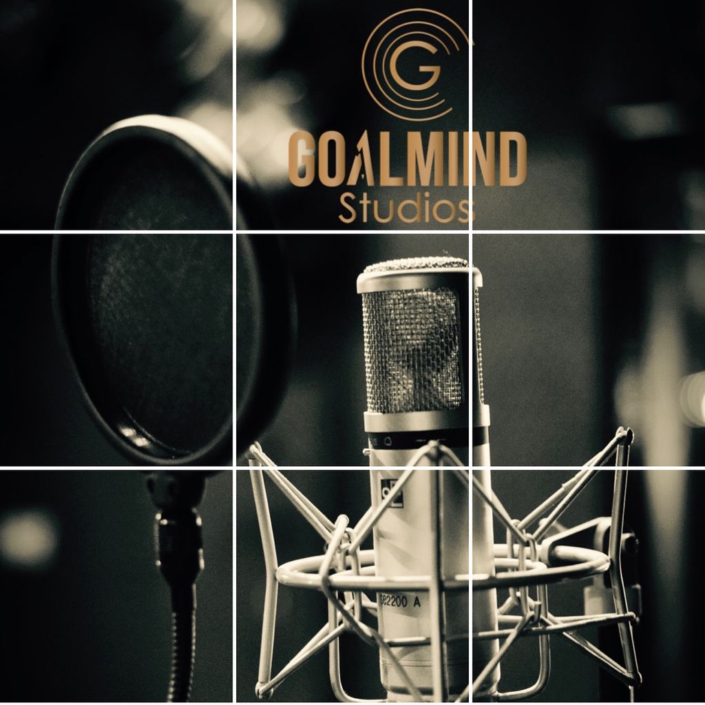 Goalmind Studios LLC