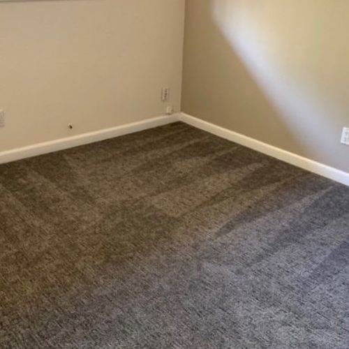 This carpet cleaning service was an awesome experi