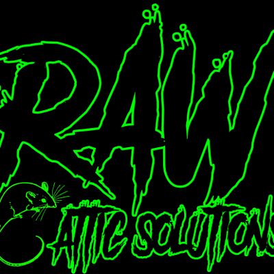 Avatar for RAW Attic Solutions