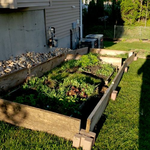 expanding garden beds