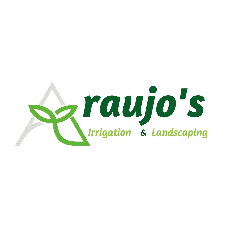 pro avatar
