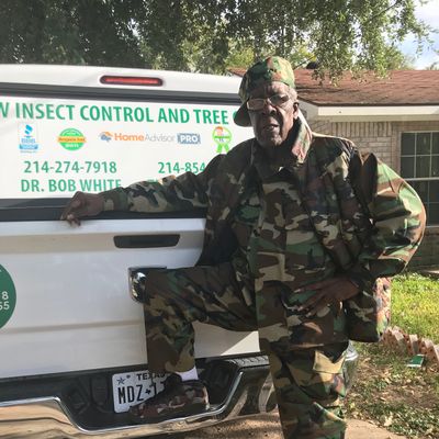 Avatar for BW Insect Control and Tree Care