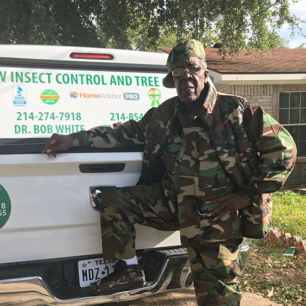 BW Insect Control and Tree Care