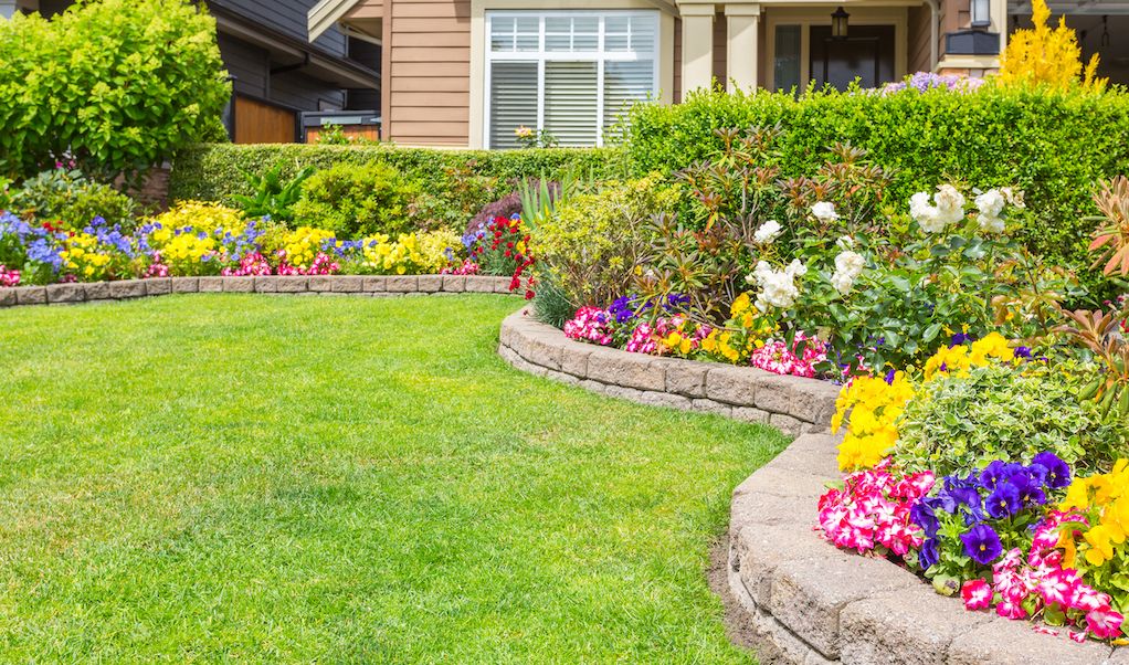 front yard landscape edging