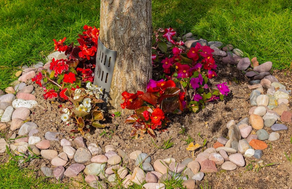front yard flower bed