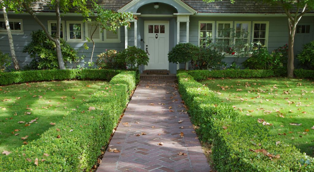 front yard bushes along pathway