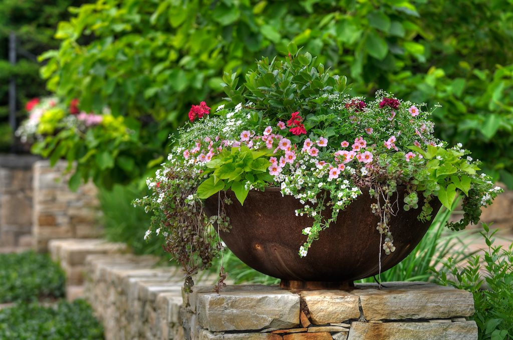 container plants front yard