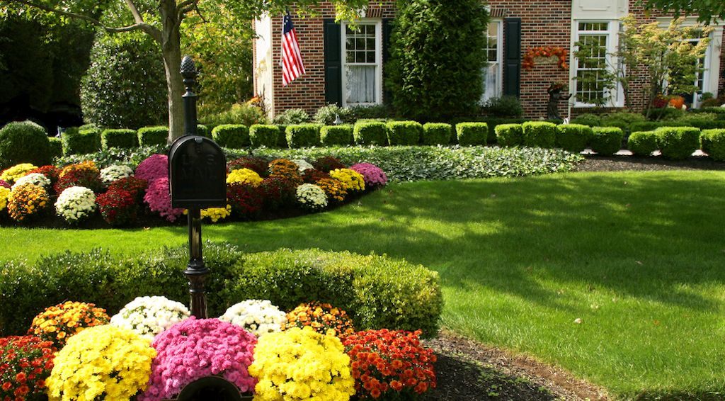 mailbox flowerbed