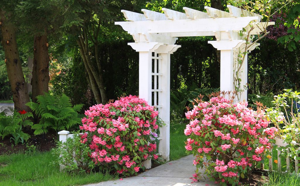 front yard arbor