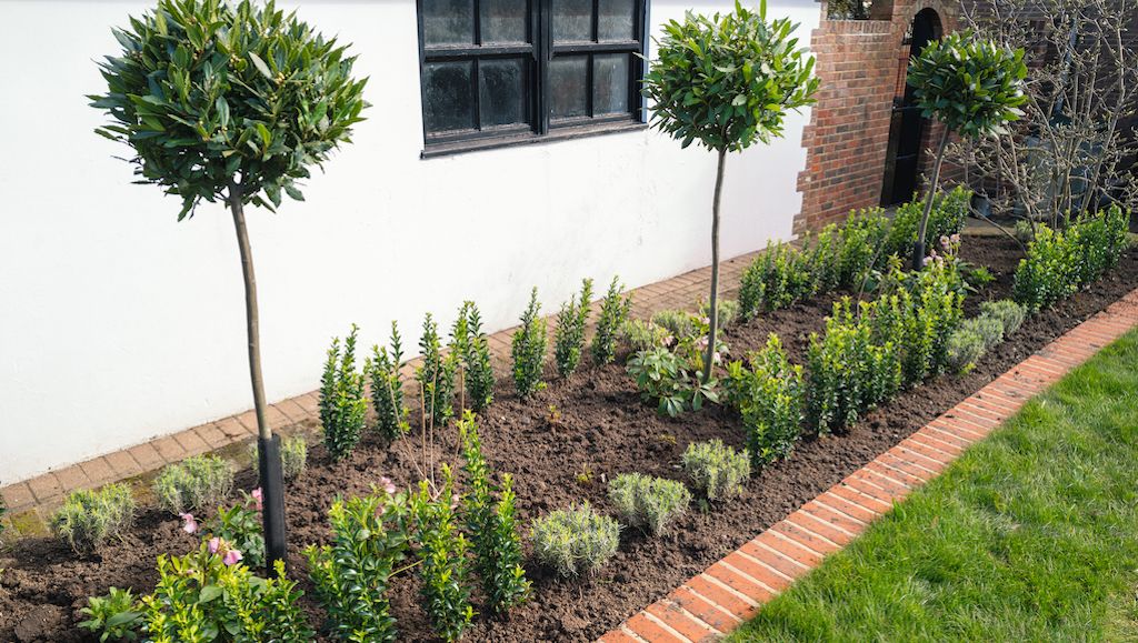 brick edging ideas