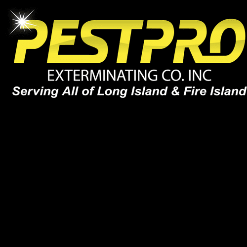 Pest Pro Exterminating