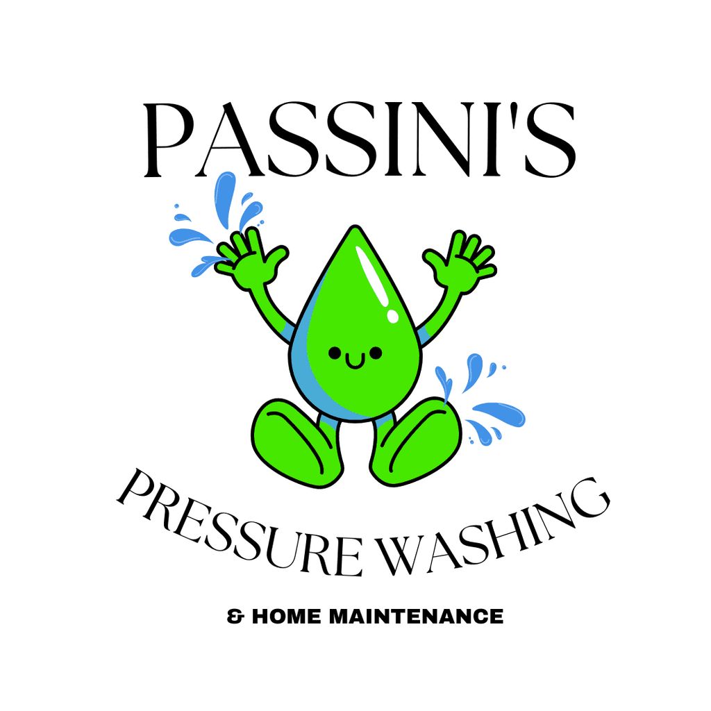 Passini's Pressure Washing & Home Maintenance LLC