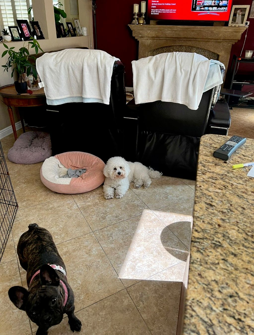 Customer photos