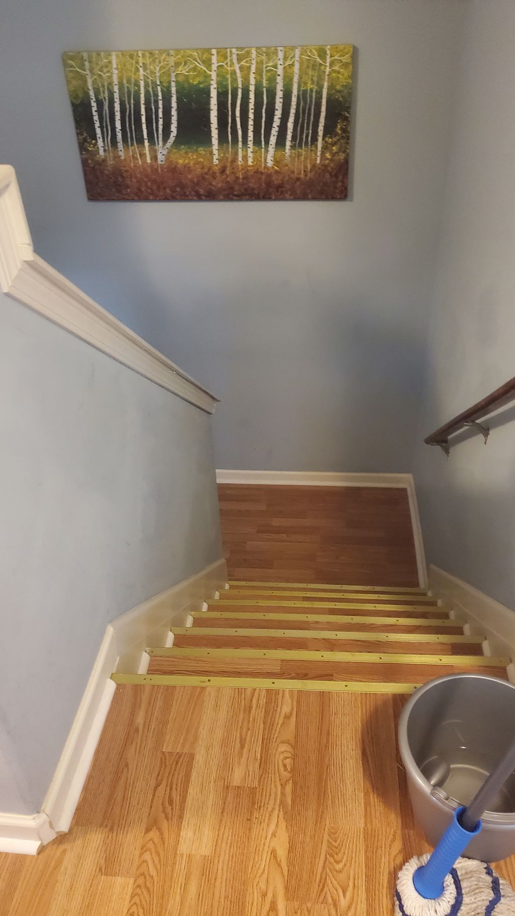 Floor, and Baseboard Cleaning