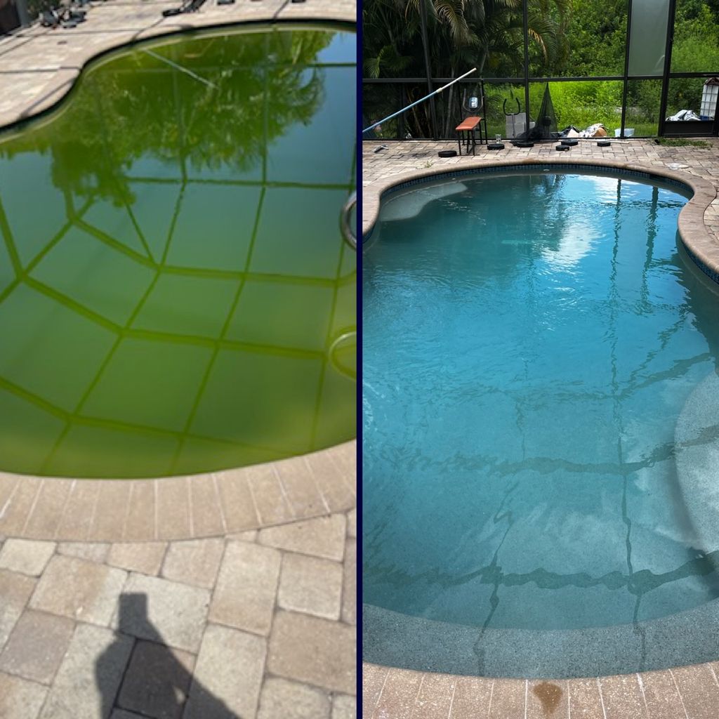 Green to Clean in only 3 days!