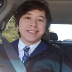 pro avatar