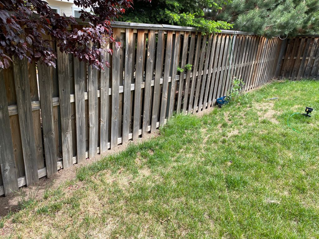 Before