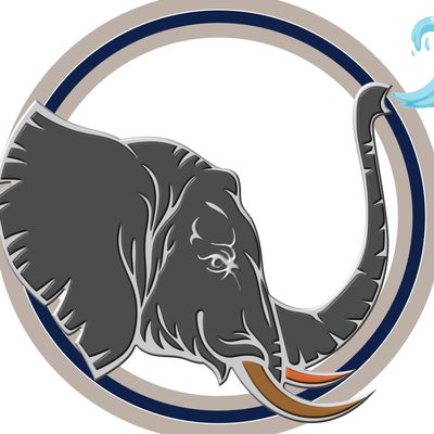Avatar for Blue Elephant Pressure Washing Inc.