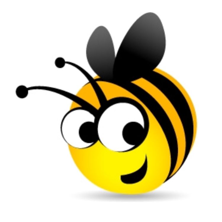 Bee Clean services