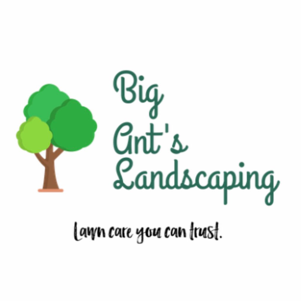Big Ant's Landscaping