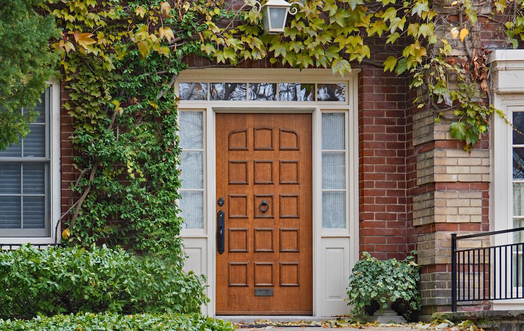 plant vines to cool home