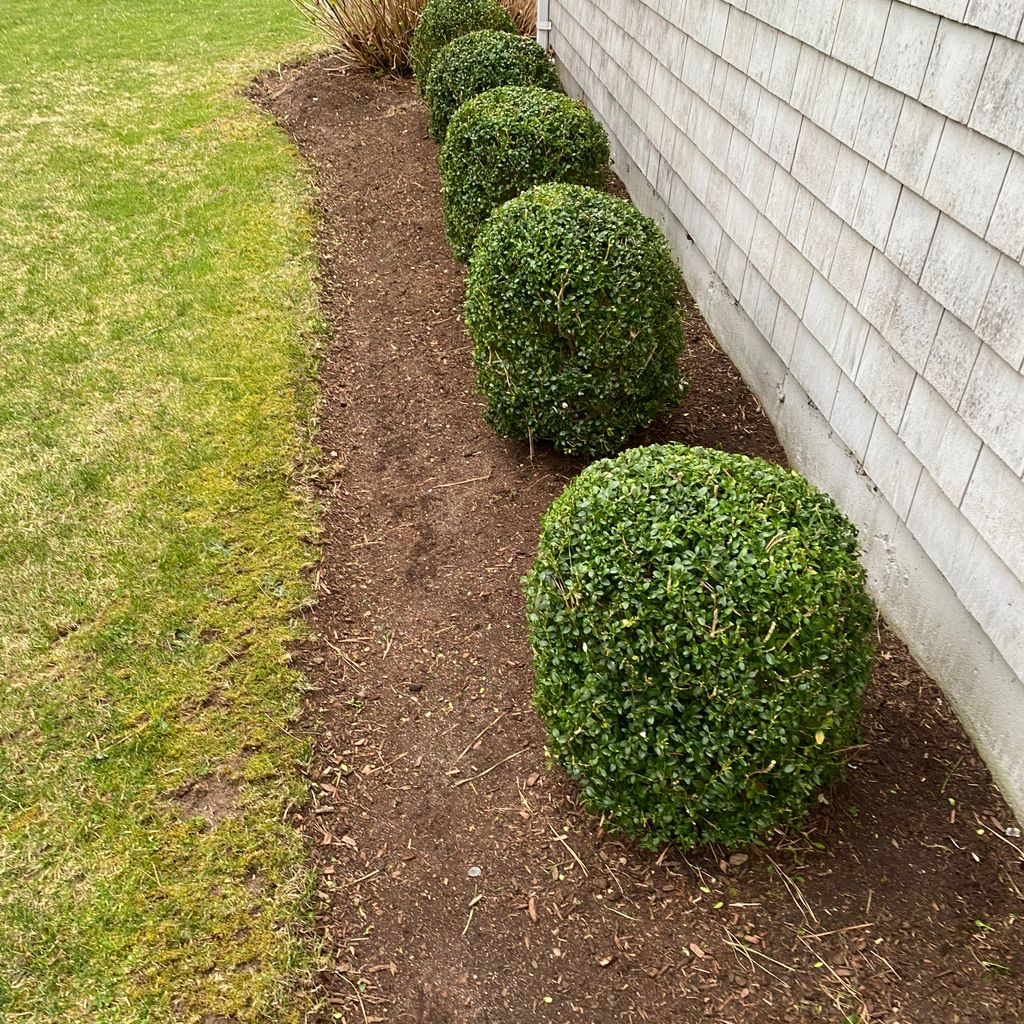 D F Landscaping