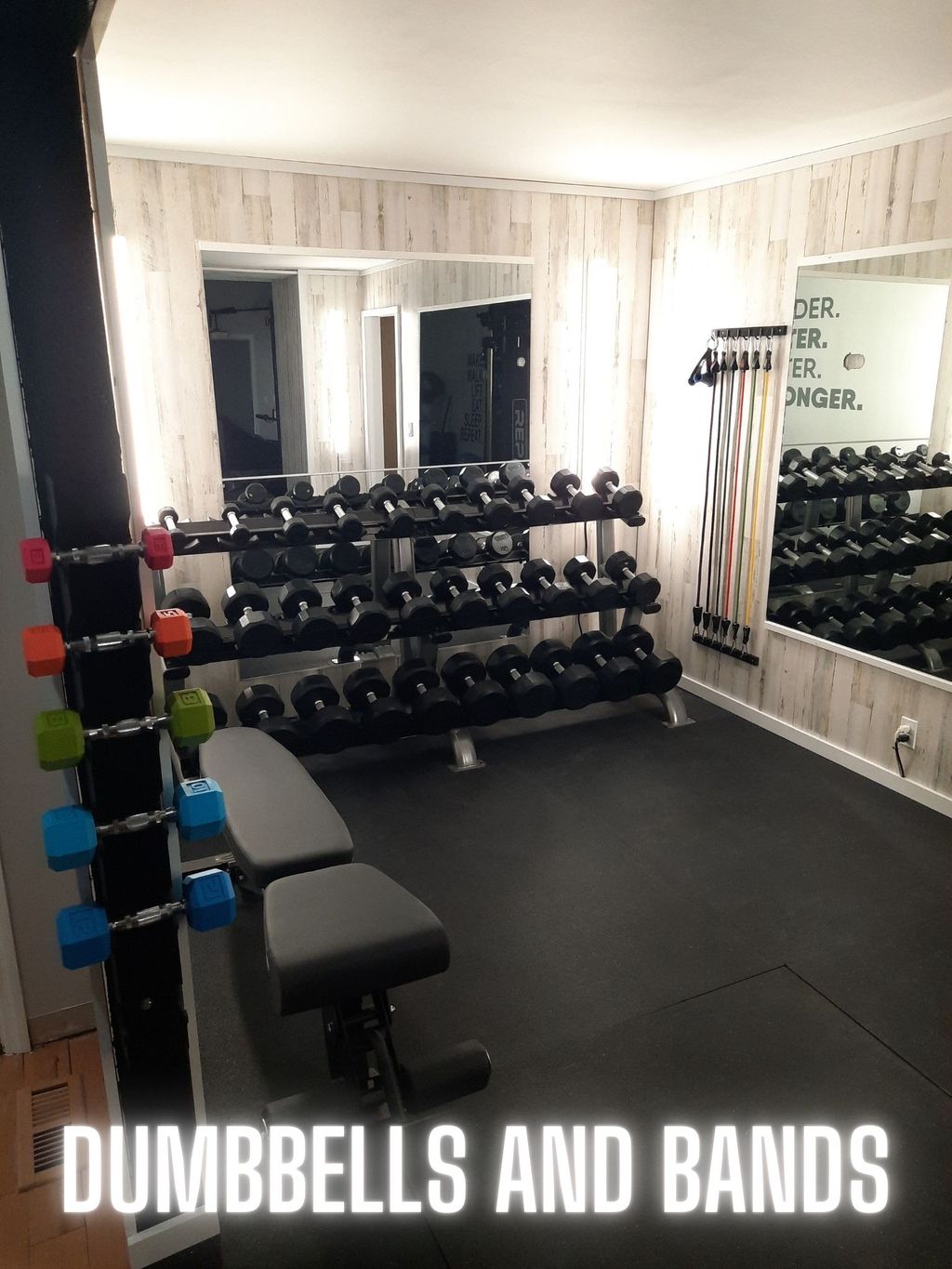 DUMBBELLS and BANDS