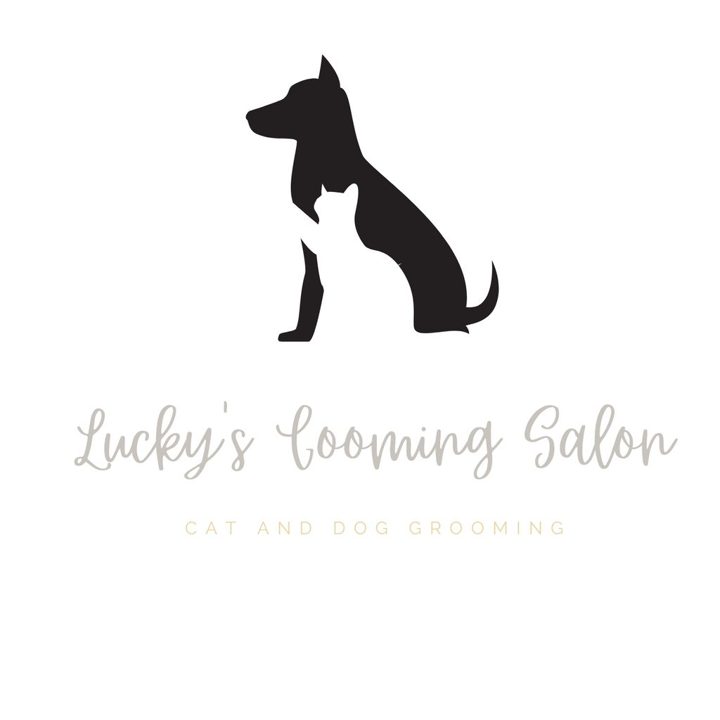Lucky’s pet grooming