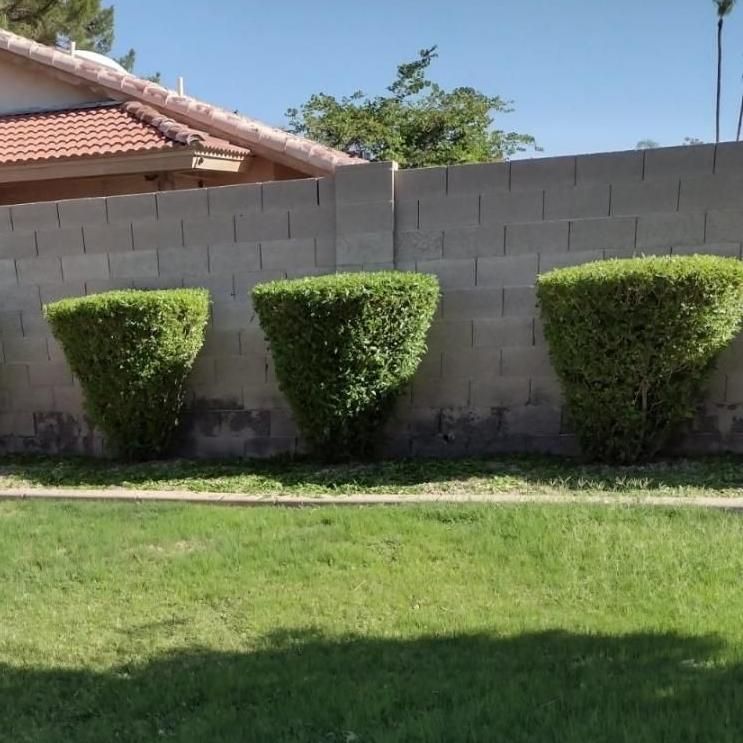 Cota Landscaping