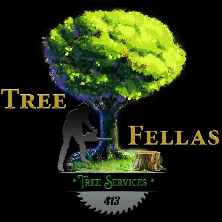 413 Tree 🌳  fellas