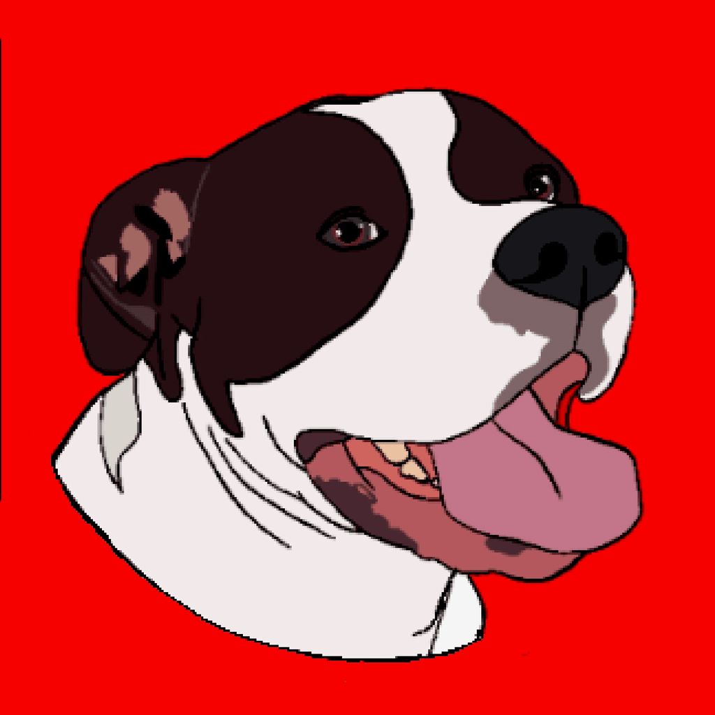 TopDawg Junk Removal