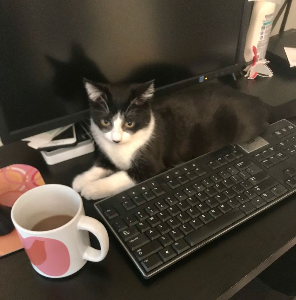 Office assistant
