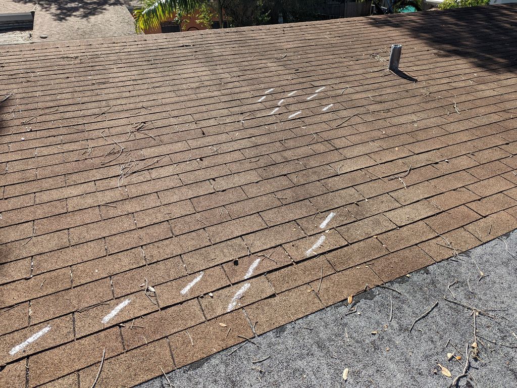 Wind damage to shingle roof