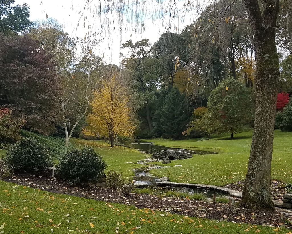 Ponds and Bridges