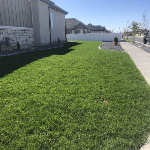 Sprinkler and Irrigation System Installation