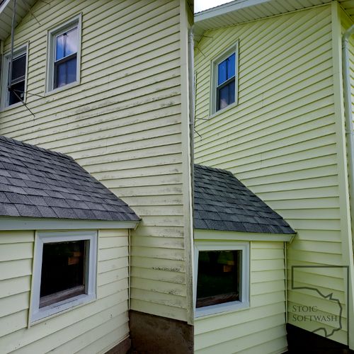 Before and After House Wash